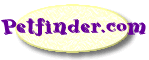 Petfinder